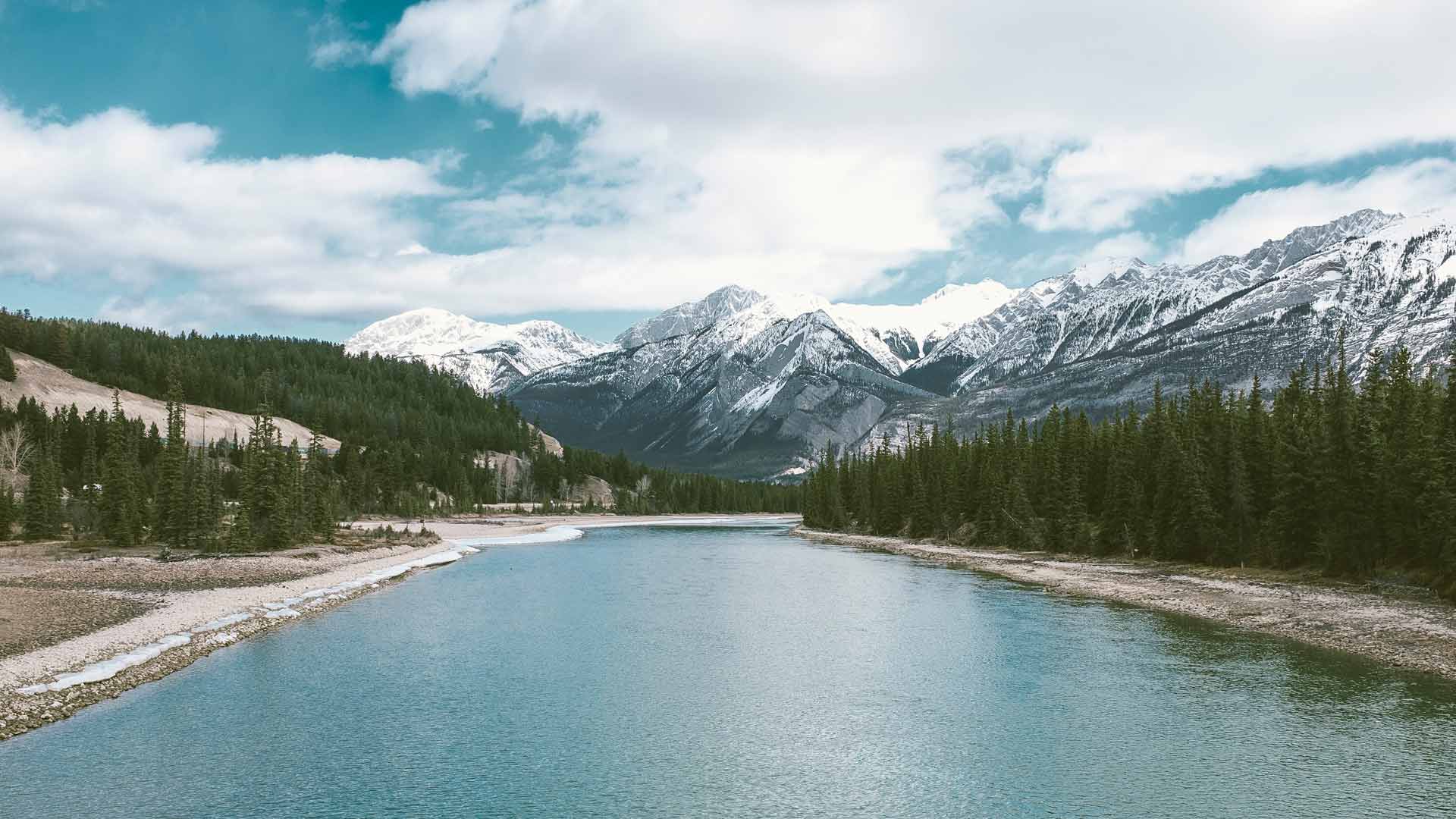 Die Grizzly Foods Mission: Die 3 Prinzipien für natürliche Convenience-Lebensmittel